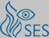 Association suisse des constructeurs de systèmes de sécurité (SES)